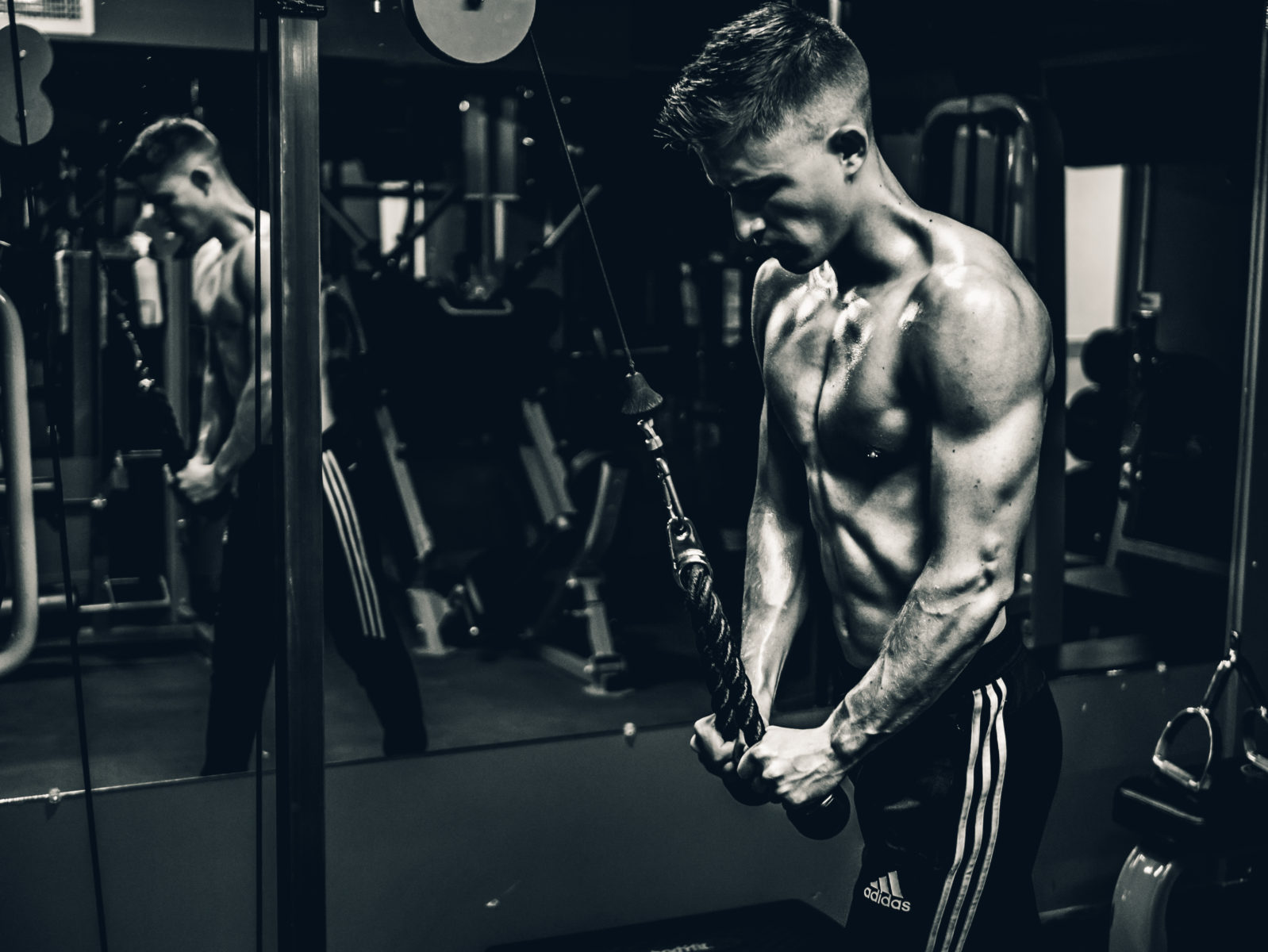 Démarrer et maintenir un programme de musculation et de remise en forme programme-musculation-et-remise-en-forme